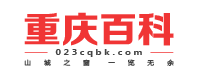 杭州SEO网站优化